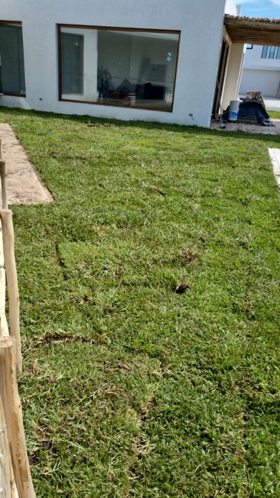 Nuestro Proyectos whatsapp image 2026 03 04 at 17.45.37