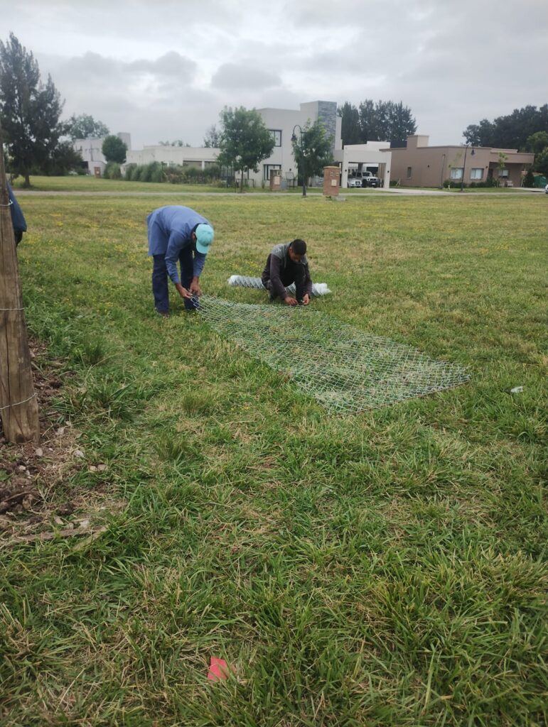 Nuestro Proyectos whatsapp image 2026 03 04 at 17.46.02